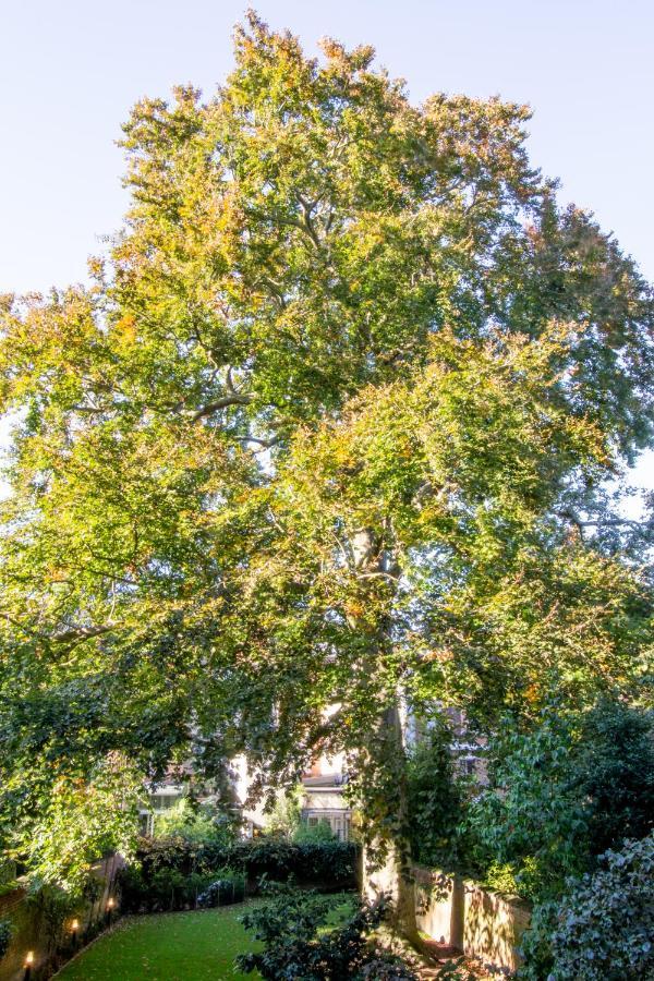 The Old Beech Bed & Breakfast Antwerp Exterior photo